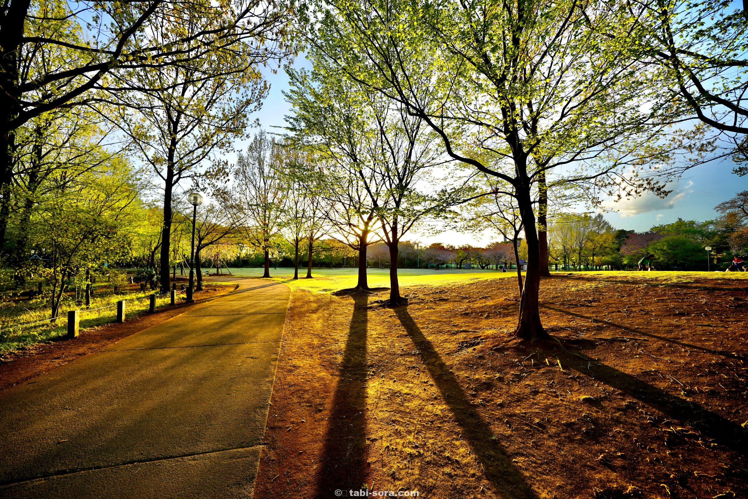 光と影の公園