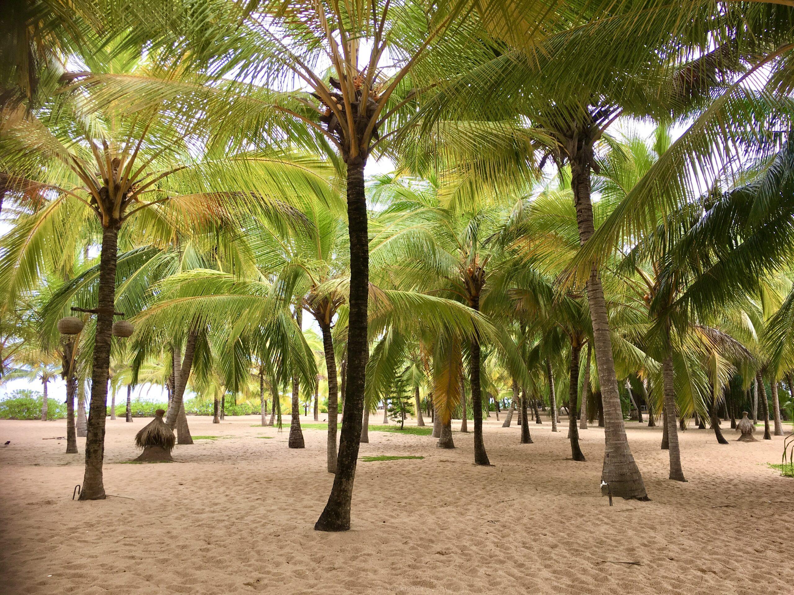 タンガッラの浜辺